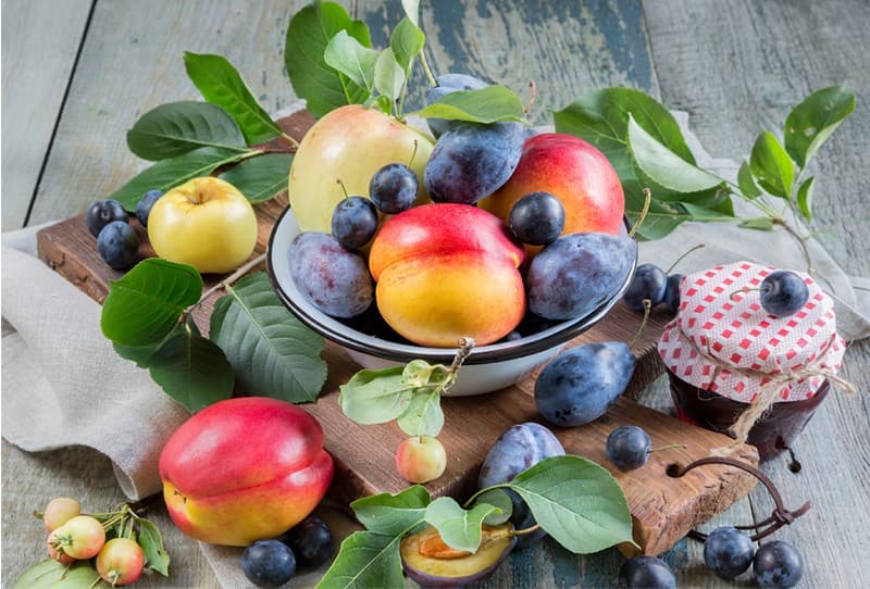 images/1689147977941Fruta de Hueso de Chile.jpg